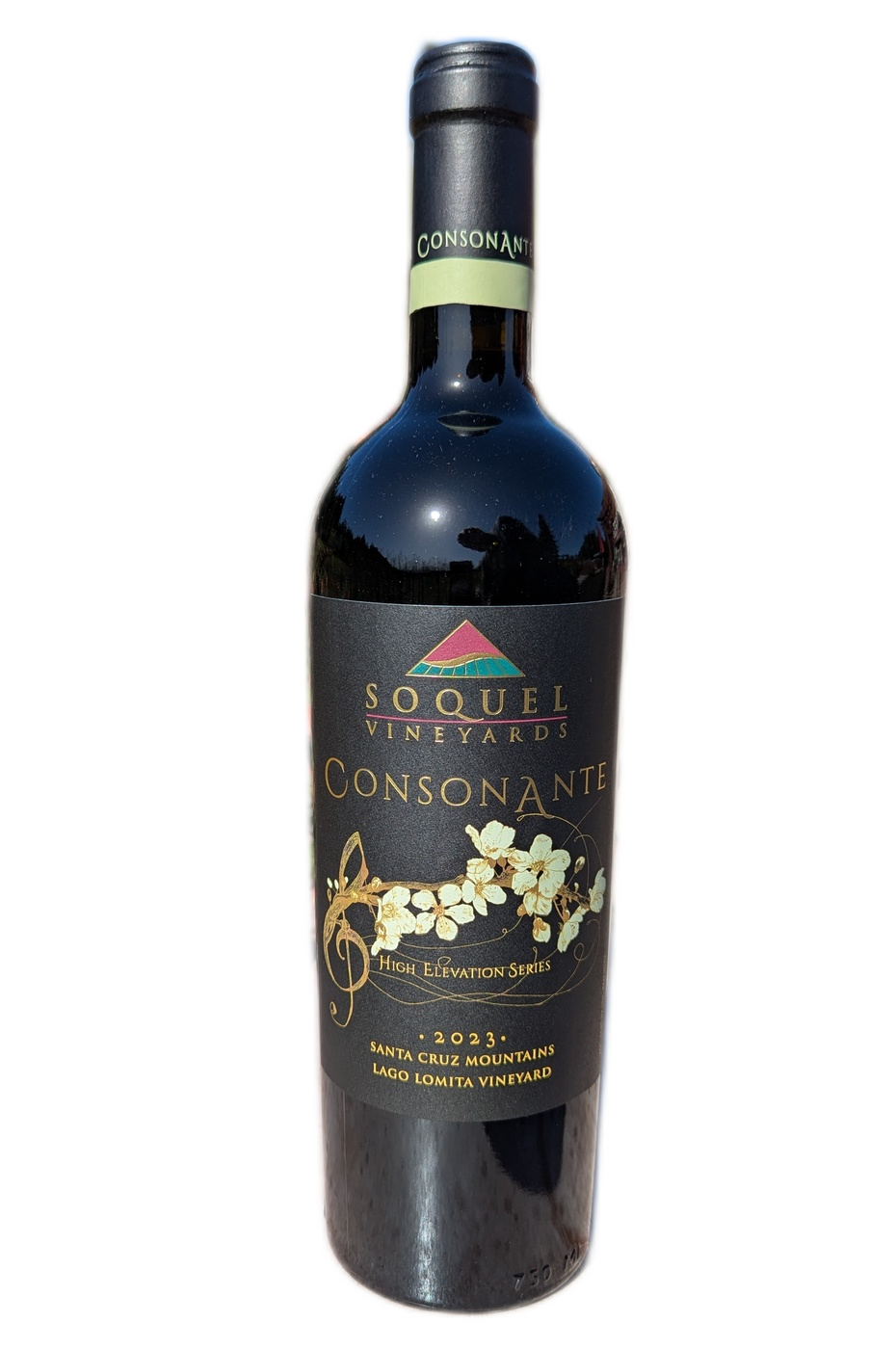 Product Image for 2023 Consonante